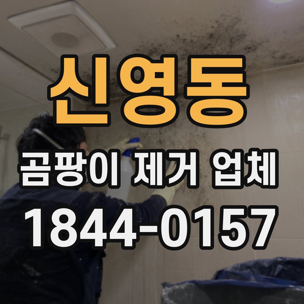 신영동 곰팡이 제거 업체