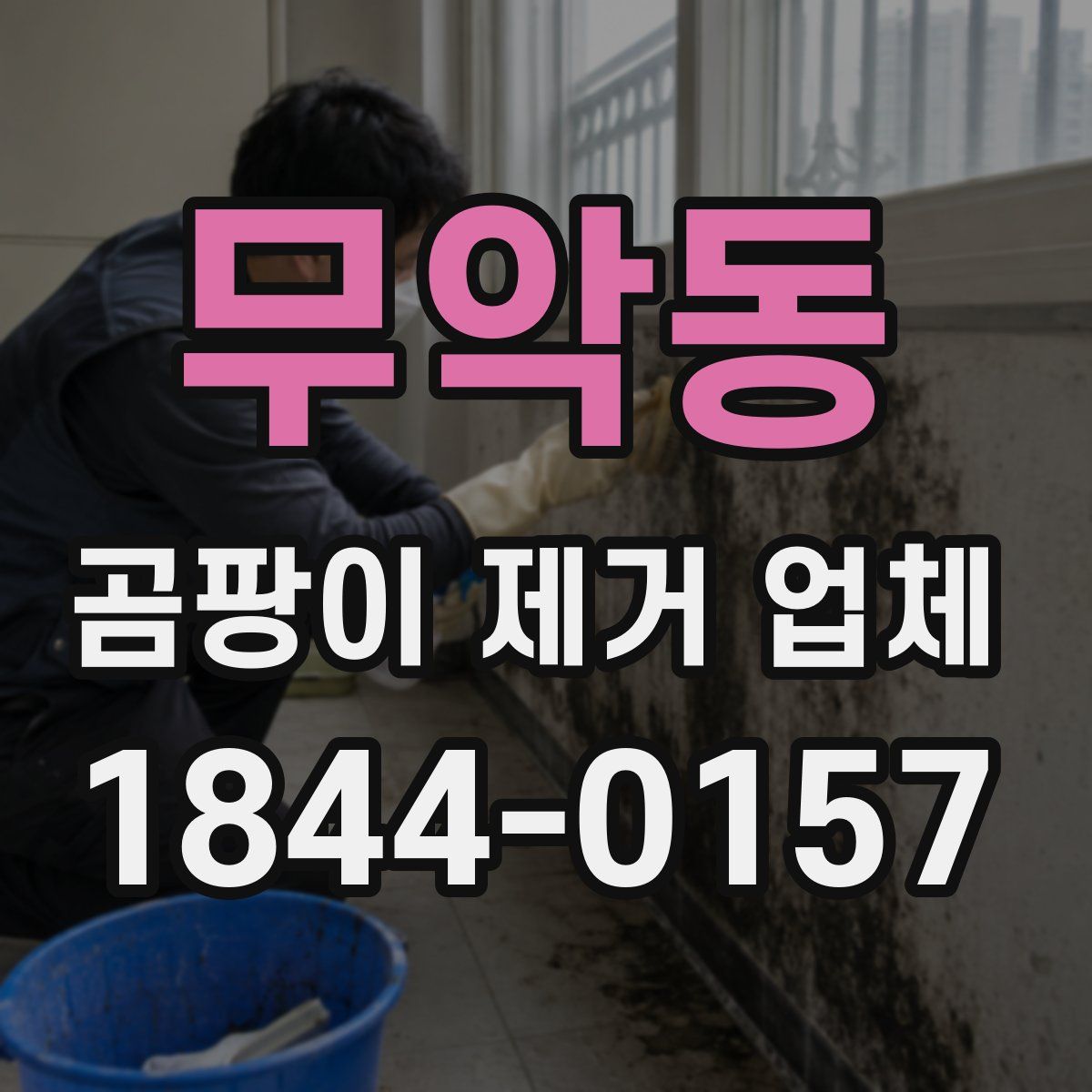 무악동 곰팡이 제거 업체