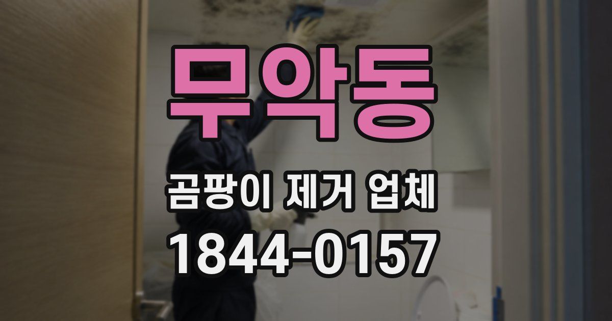무악동 곰팡이 제거 업체