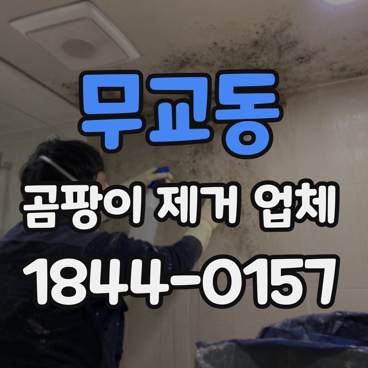 무교동 곰팡이 제거 업체