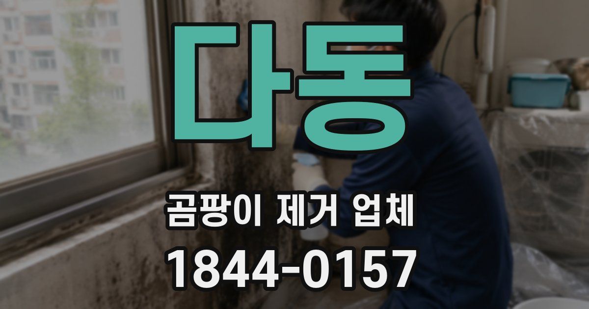 다동 곰팡이 제거 업체