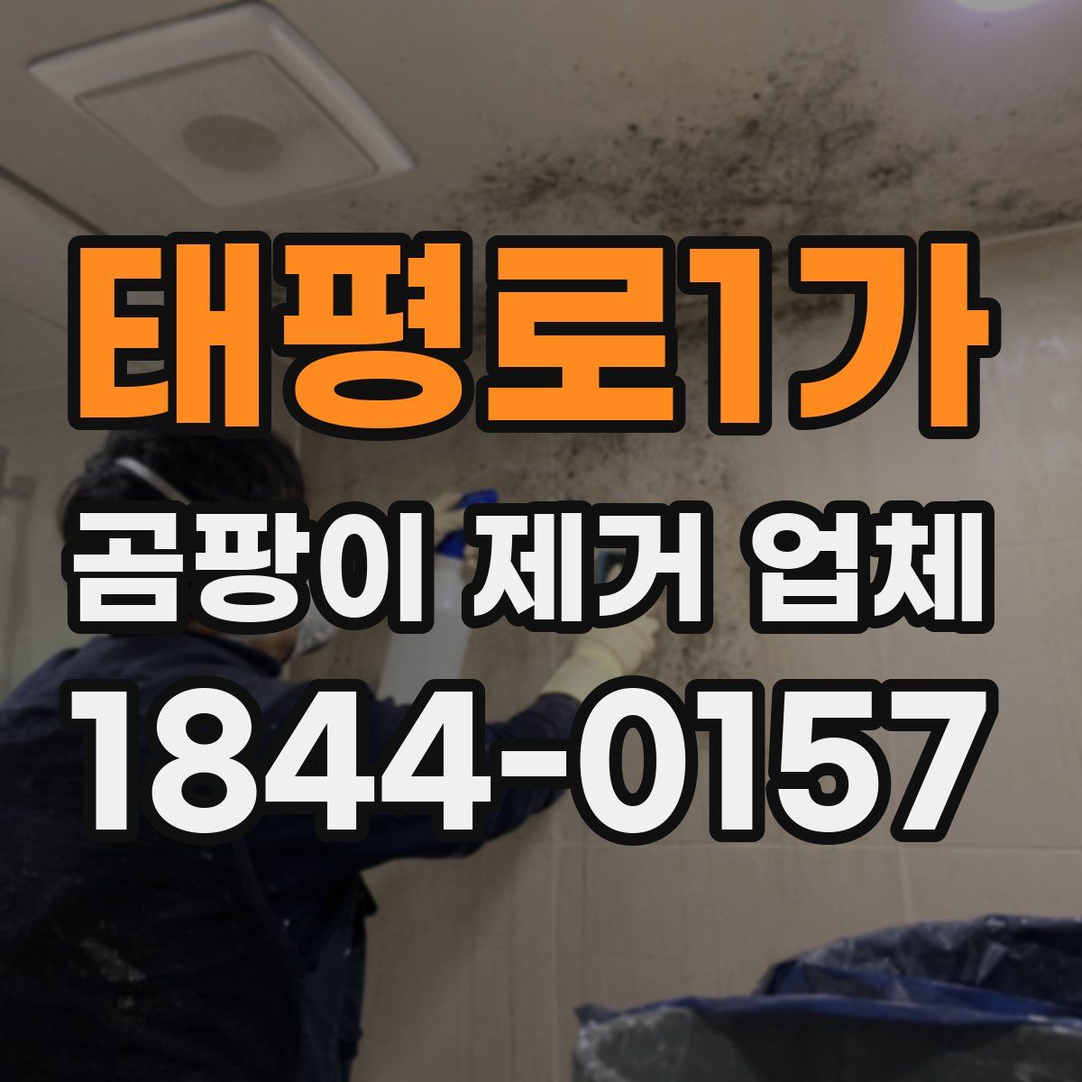 태평로1가 곰팡이 제거 업체