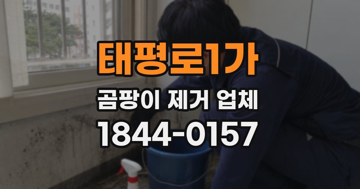 태평로1가 곰팡이 제거 업체