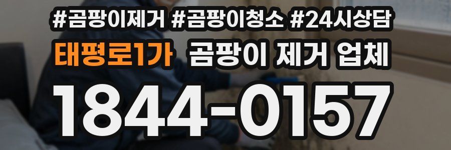 태평로1가 곰팡이 제거 업체