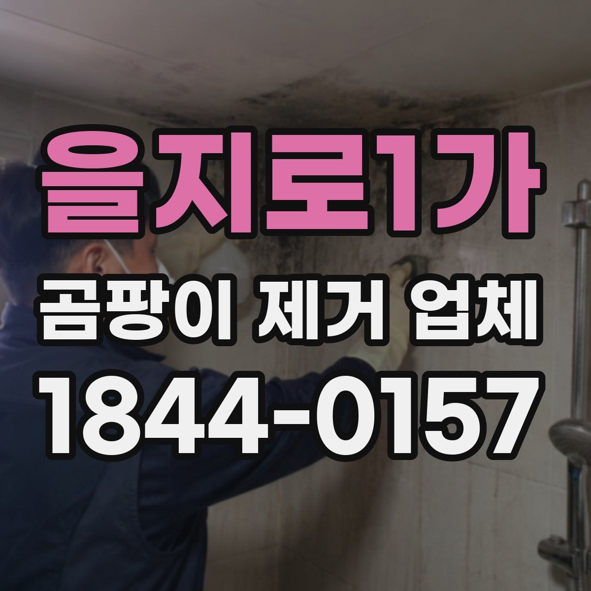 을지로1가 곰팡이 제거 업체