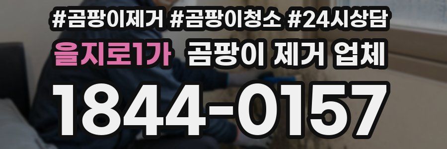 을지로1가 곰팡이 제거 업체