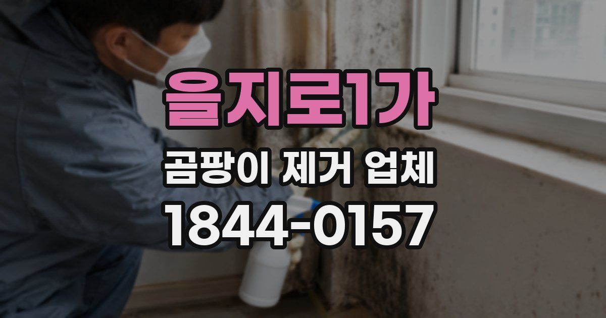 을지로1가 곰팡이 제거 업체