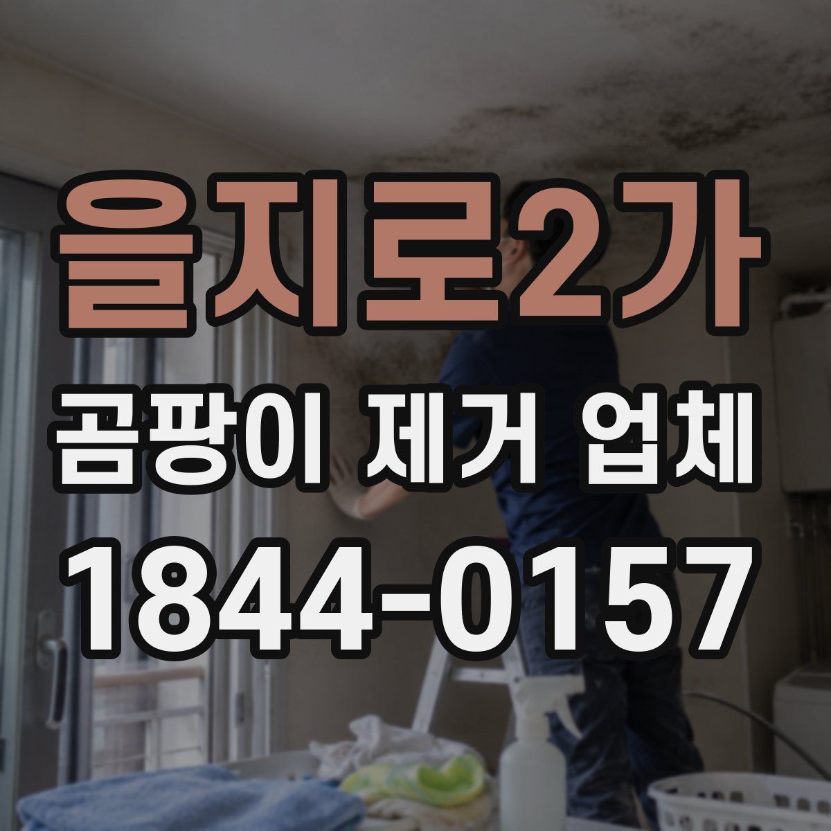 을지로2가 곰팡이 제거 업체