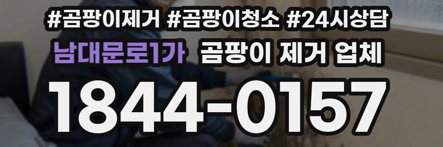 남대문로1가 곰팡이 제거 업체