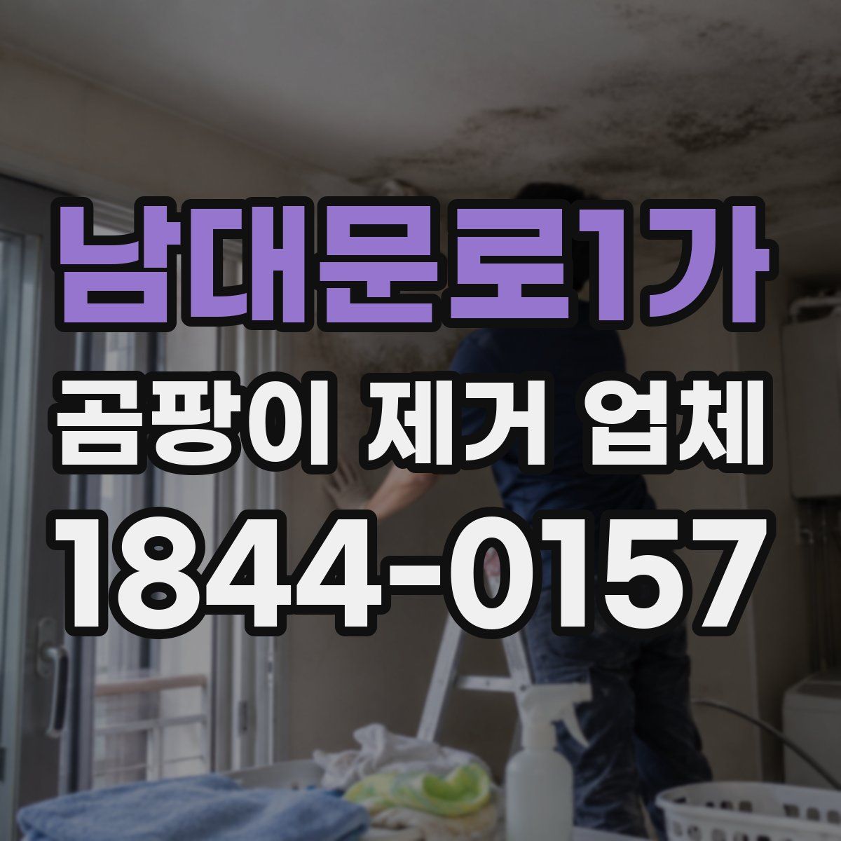 남대문로1가 곰팡이 제거 업체