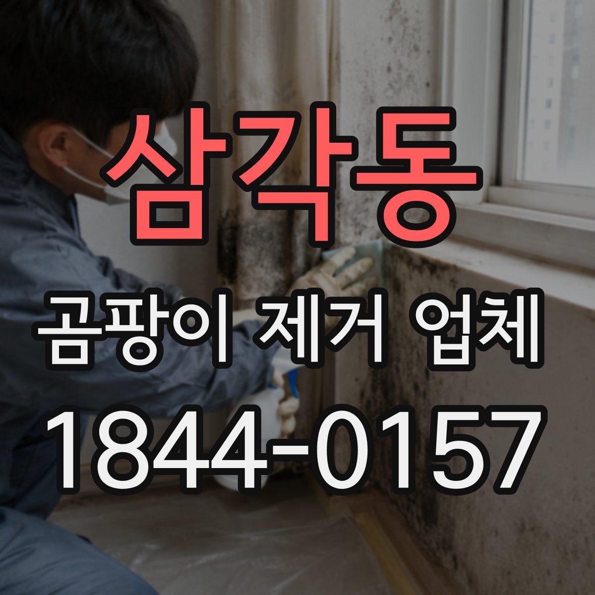 삼각동 곰팡이 제거 업체