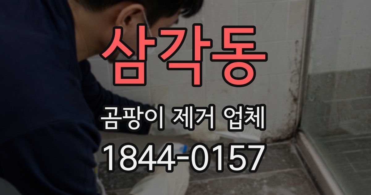 삼각동 곰팡이 제거 업체
