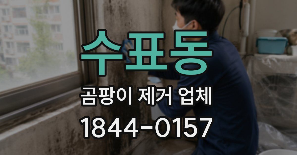 수표동 곰팡이 제거 업체