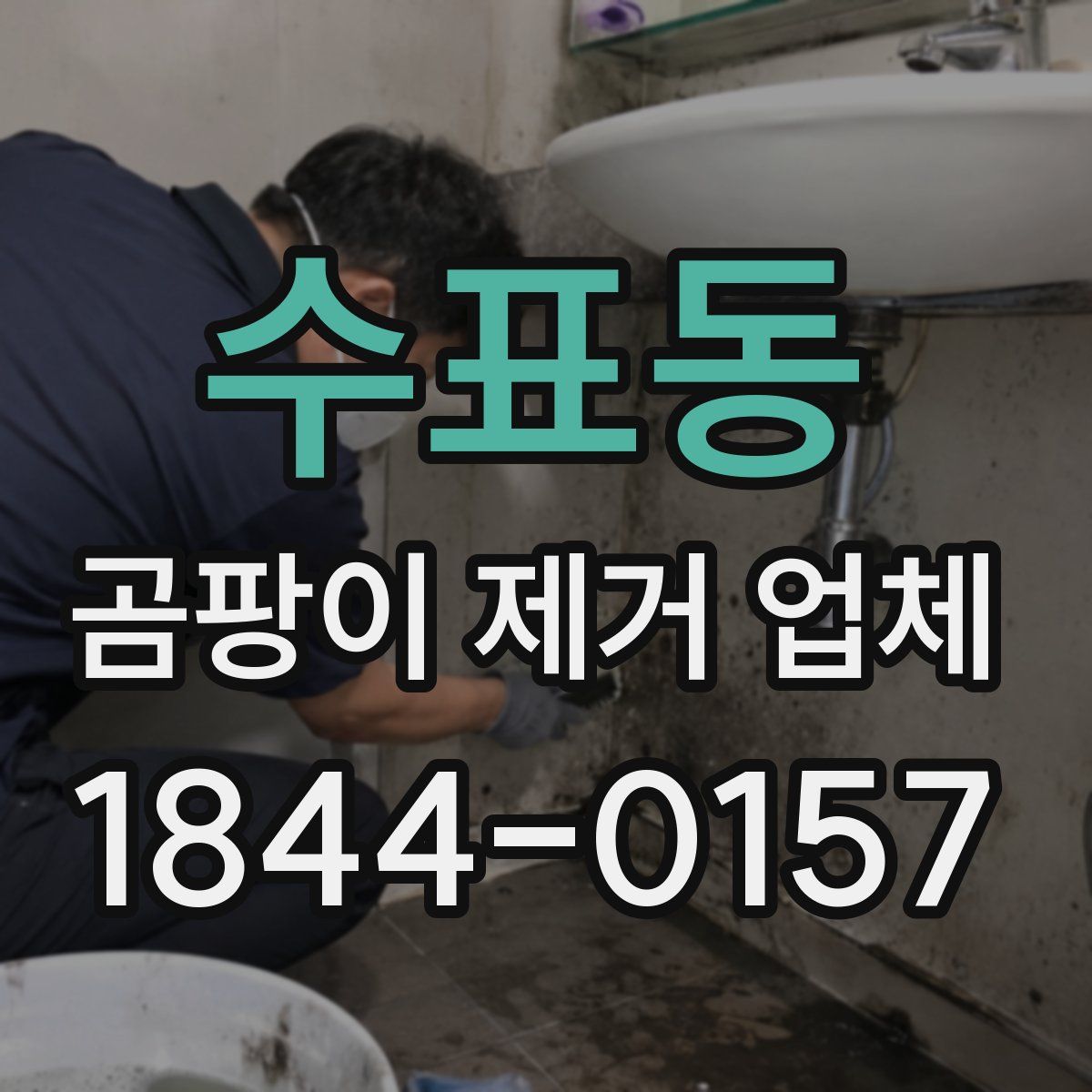 수표동 곰팡이 제거 업체