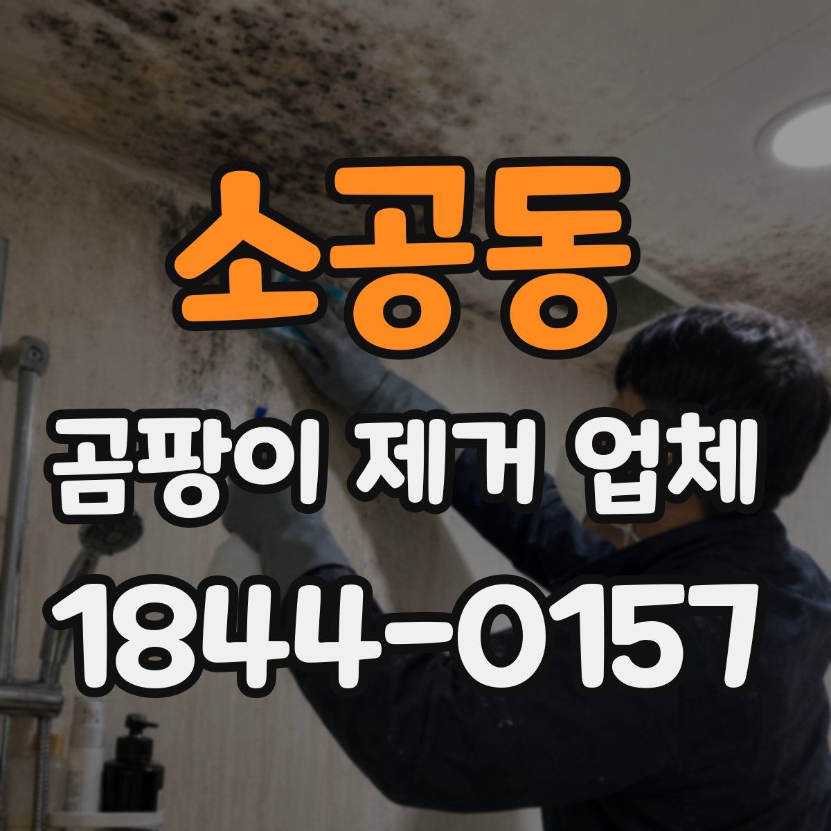 소공동 곰팡이 제거 업체