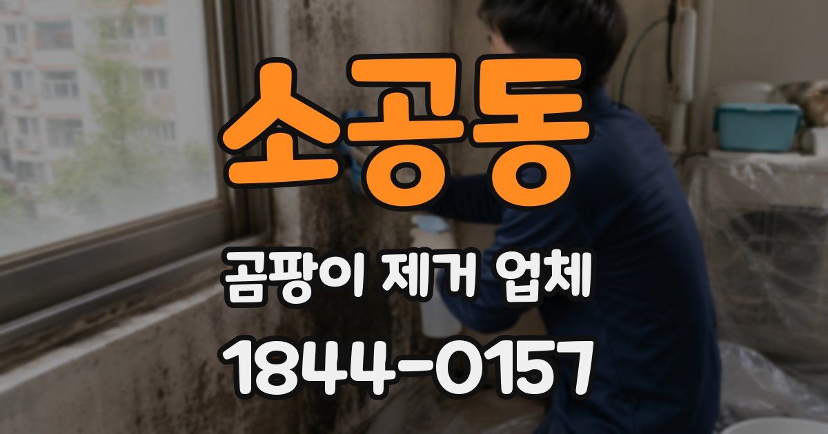 소공동 곰팡이 제거 업체