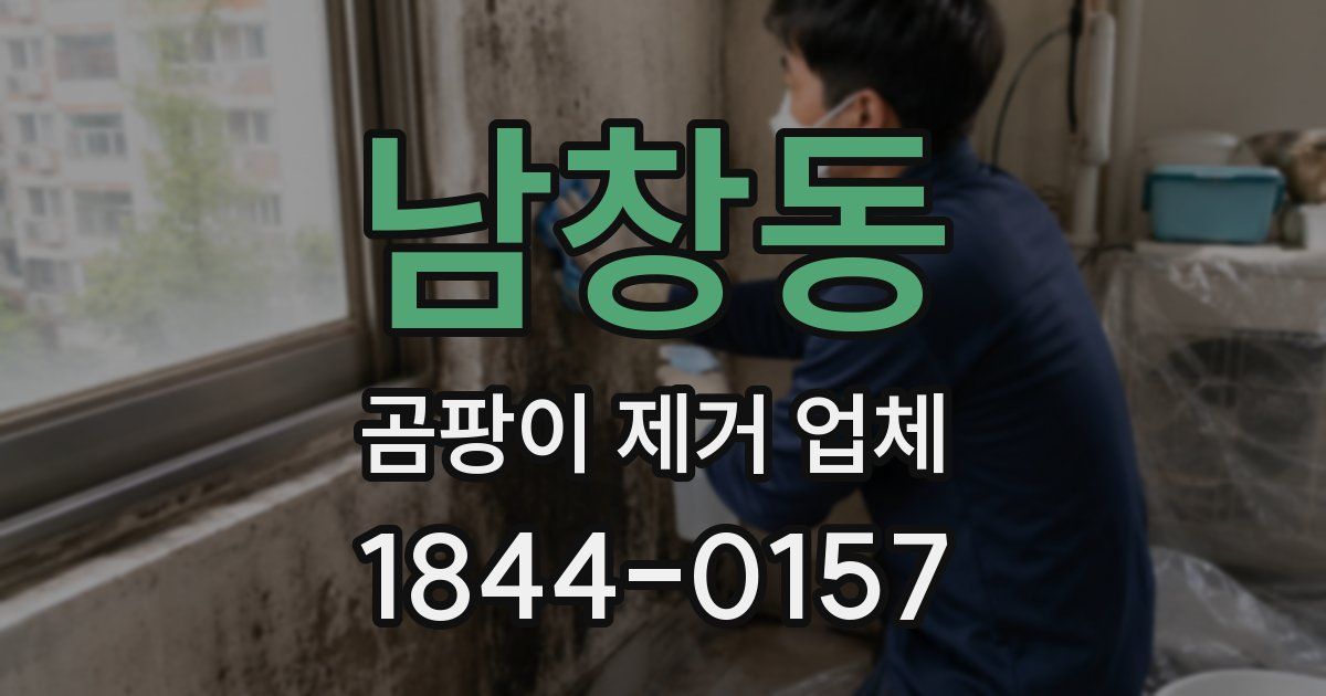 남창동 곰팡이 제거 업체