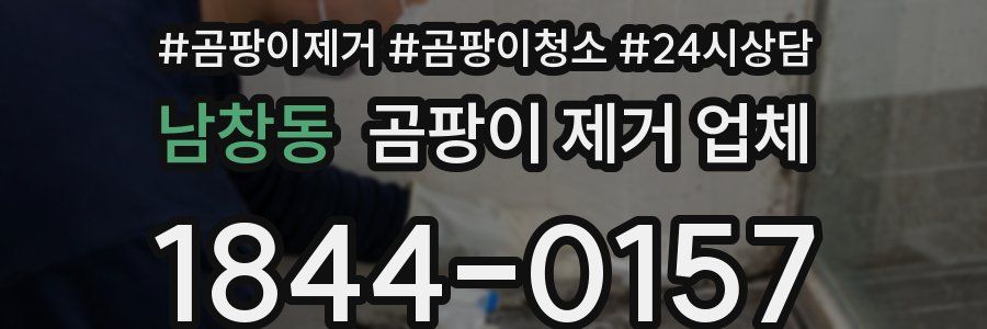 남창동 곰팡이 제거 업체