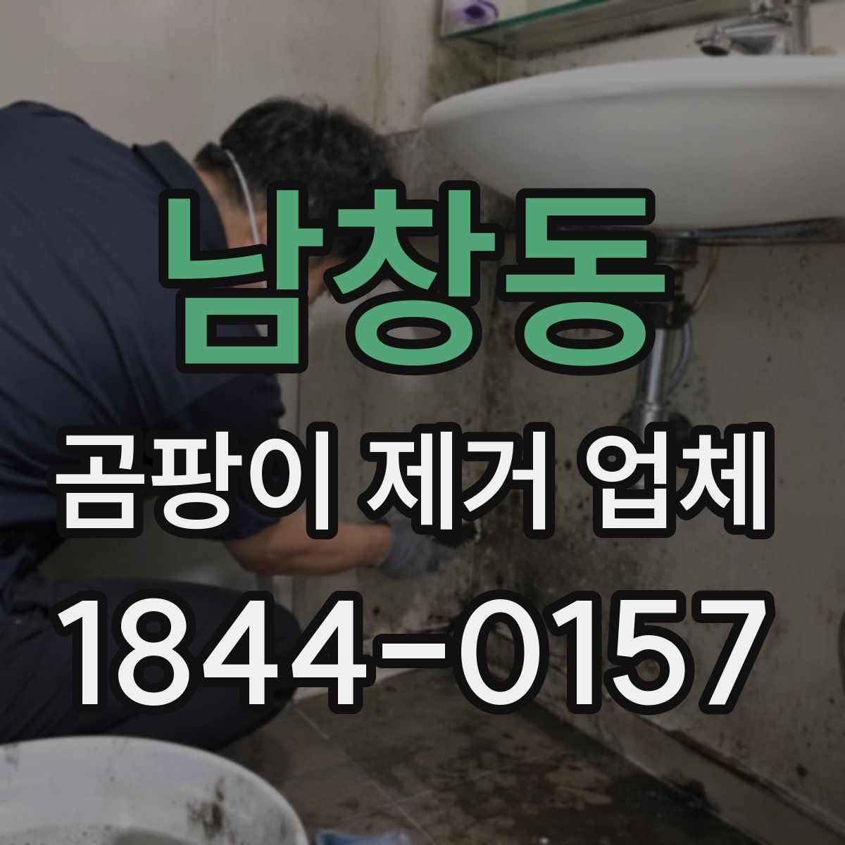 남창동 곰팡이 제거 업체
