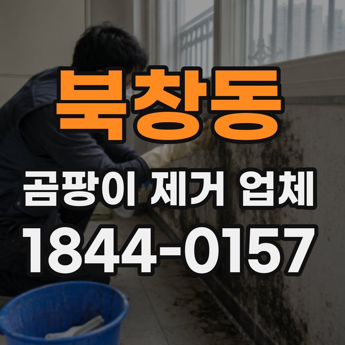 북창동 곰팡이 제거 업체