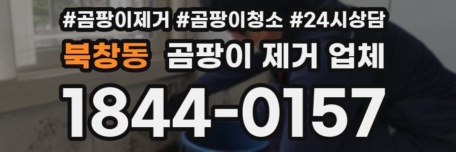 북창동 곰팡이 제거 업체