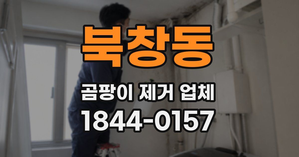북창동 곰팡이 제거 업체