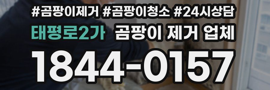 태평로2가 곰팡이 제거 업체