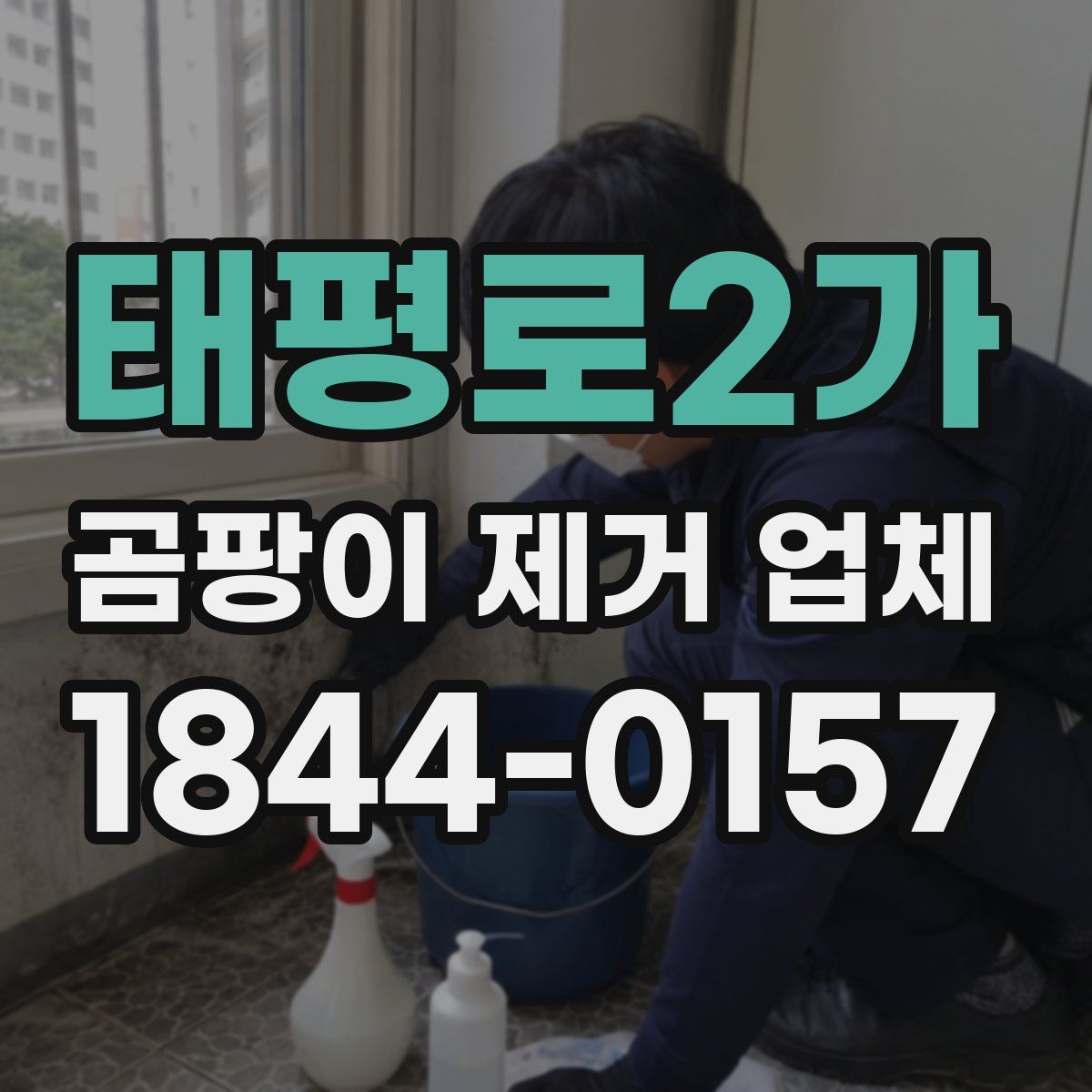 태평로2가 곰팡이 제거 업체