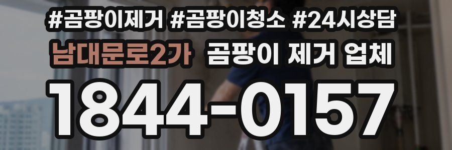 남대문로2가 곰팡이 제거 업체