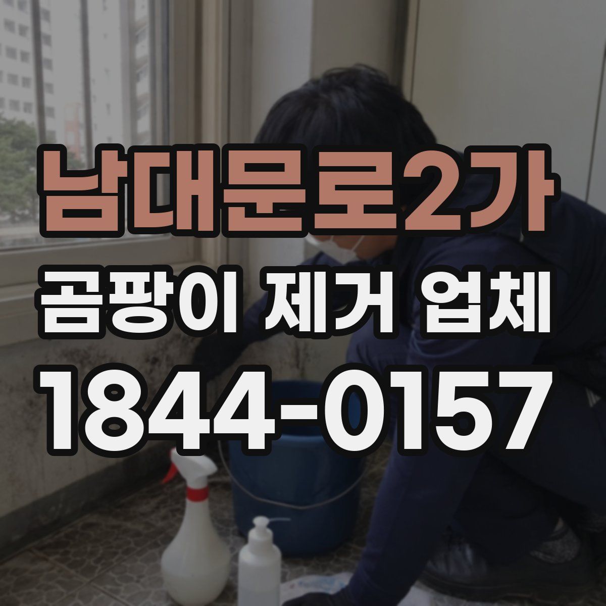 남대문로2가 곰팡이 제거 업체