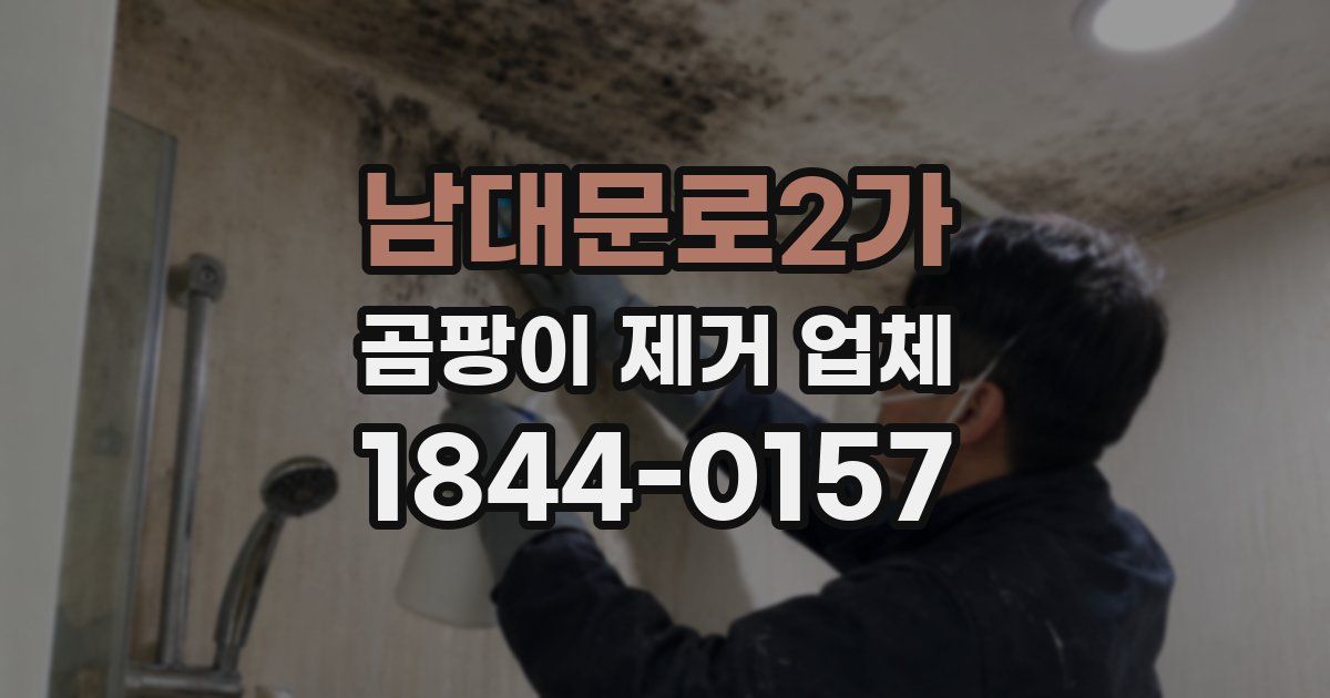 남대문로2가 곰팡이 제거 업체