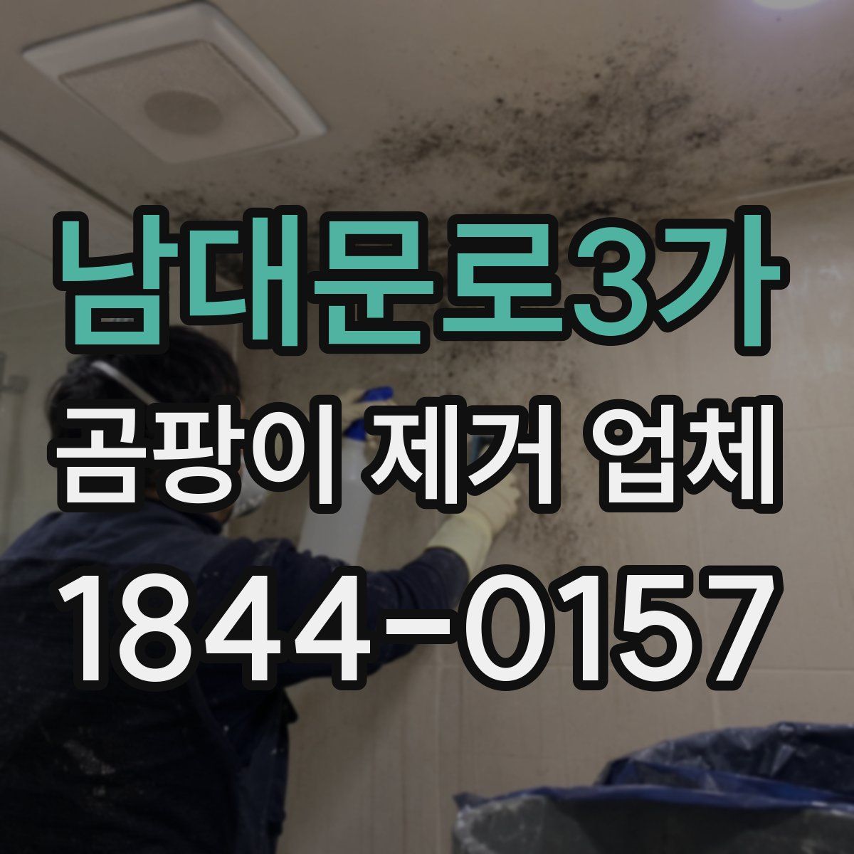 남대문로3가 곰팡이 제거 업체