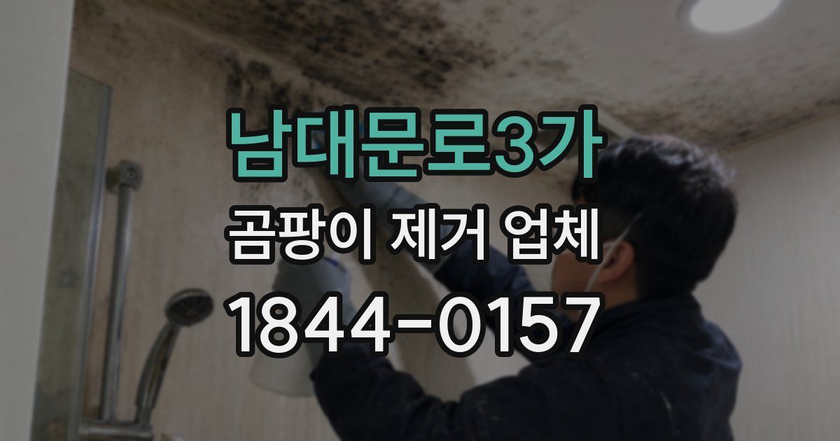 남대문로3가 곰팡이 제거 업체