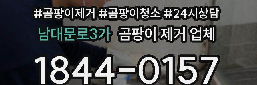 남대문로3가 곰팡이 제거 업체