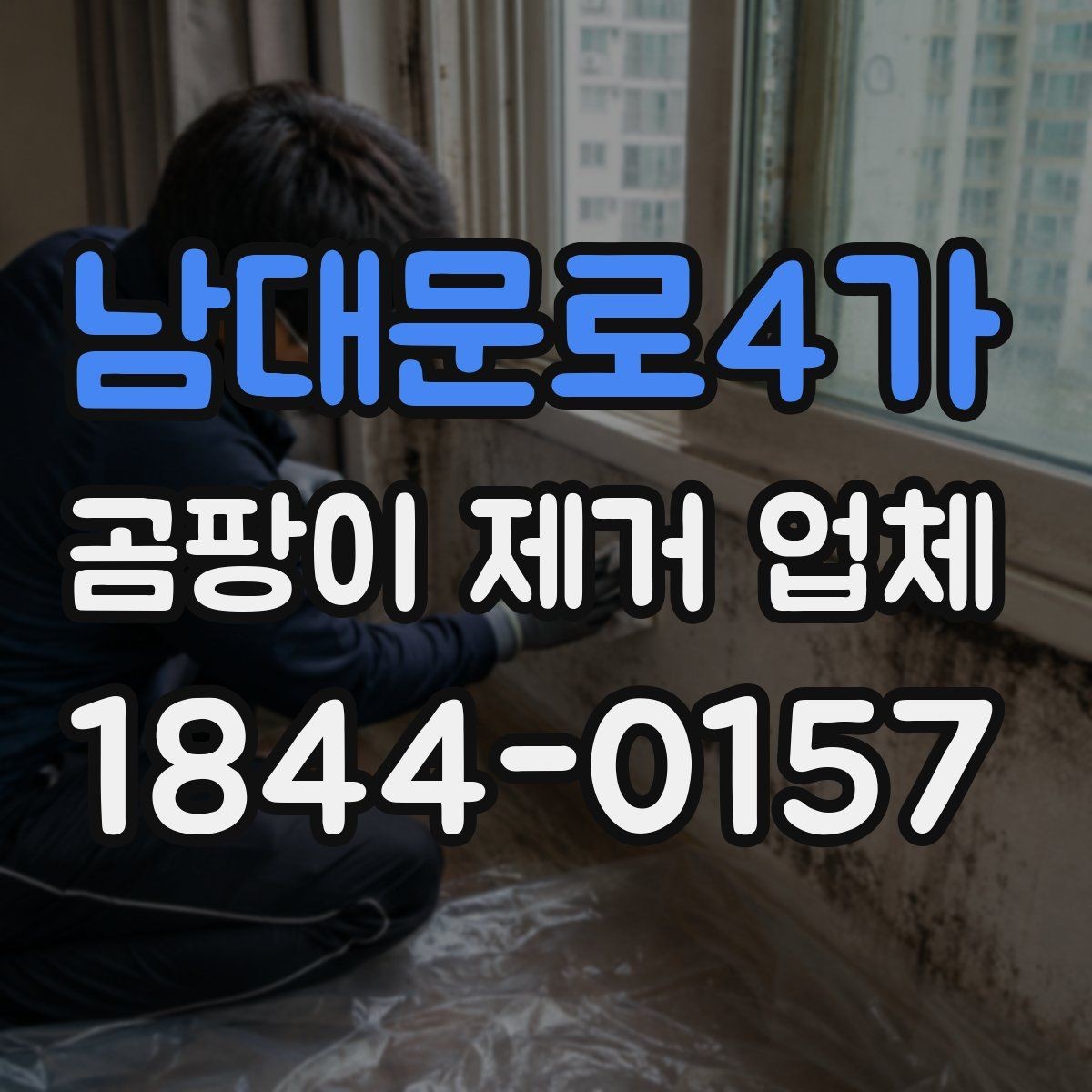 남대문로4가 곰팡이 제거 업체 실내 습도와 오염 재발의 관계를 보는 시선