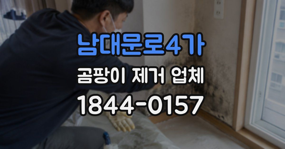 남대문로4가 곰팡이 제거 업체