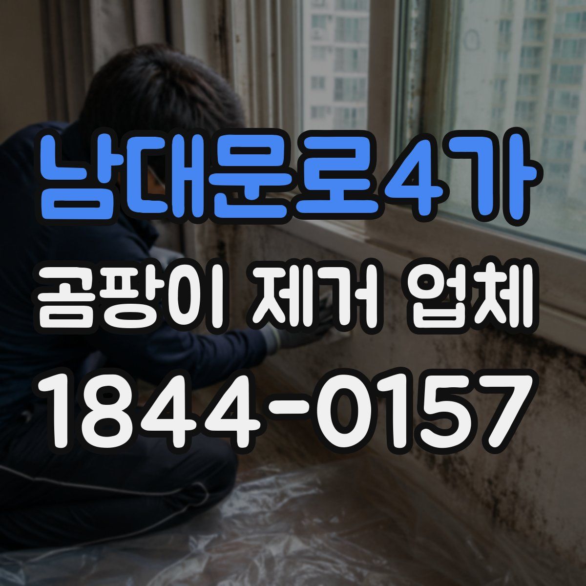 남대문로4가 곰팡이 제거 업체