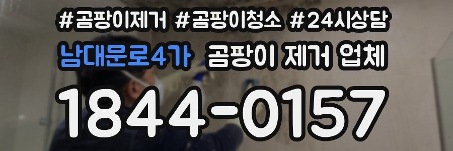 남대문로4가 곰팡이 제거 업체