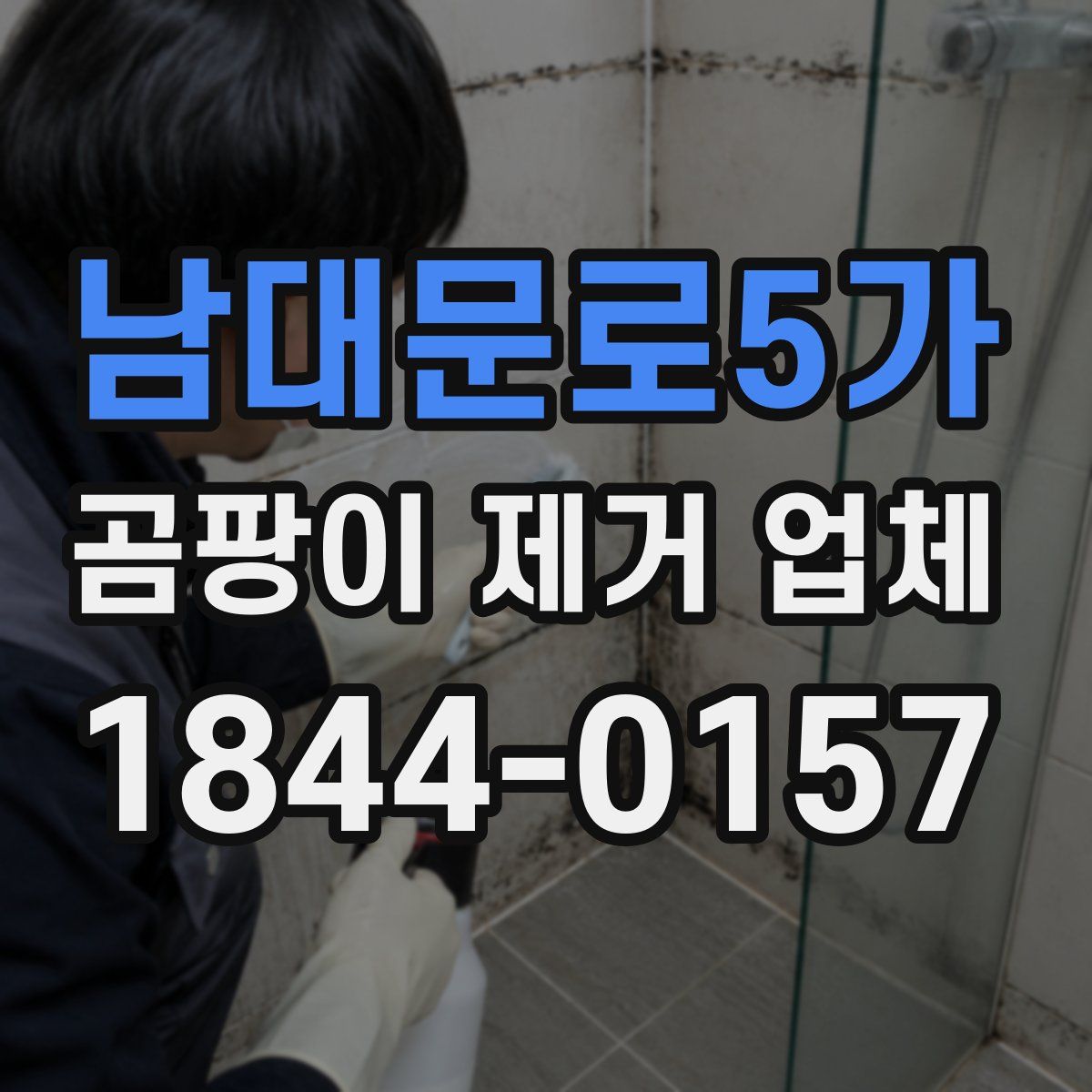 남대문로5가 곰팡이 제거 업체