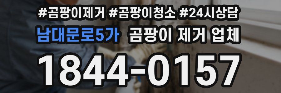 남대문로5가 곰팡이 제거 업체