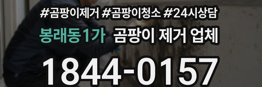 봉래동1가 곰팡이 제거 업체