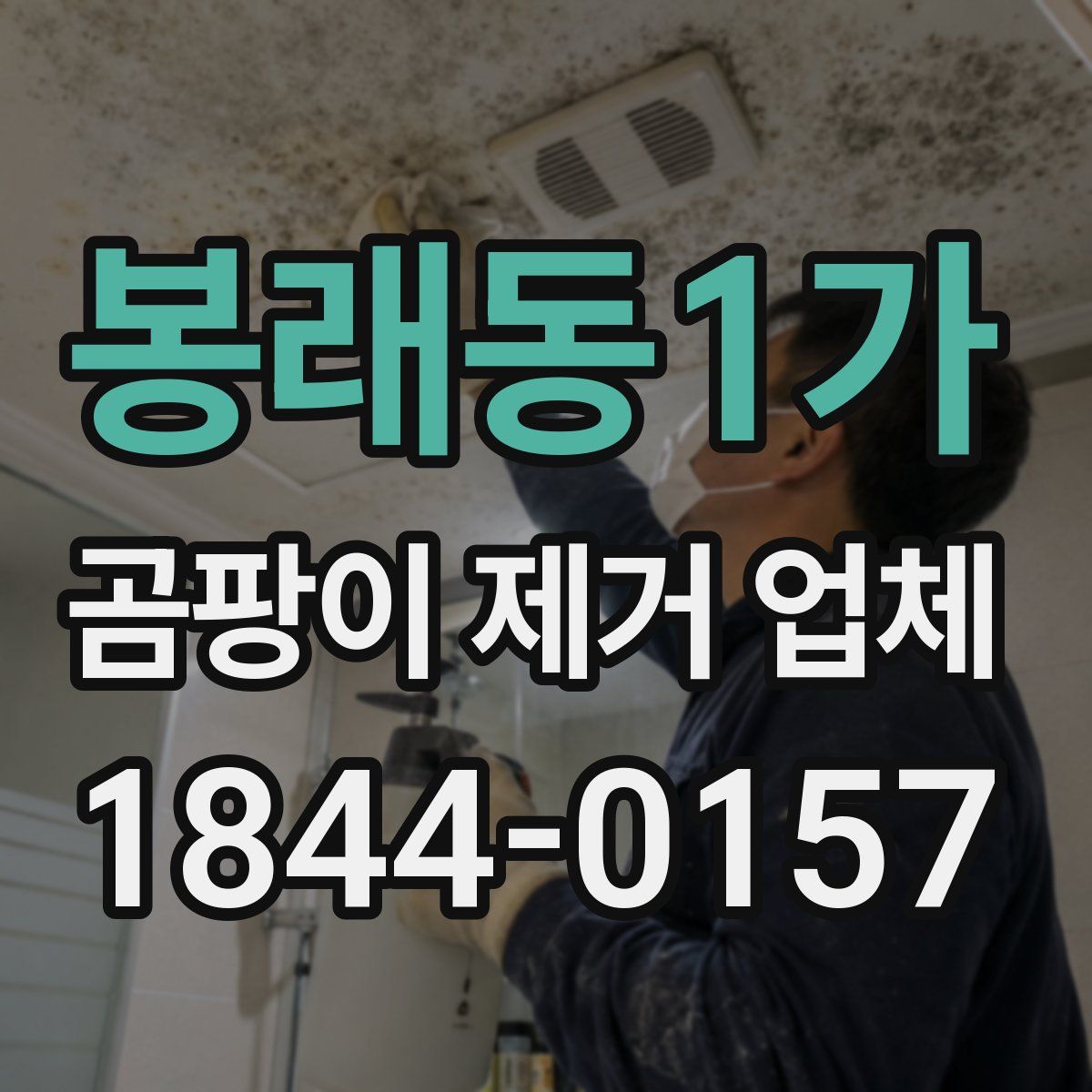 봉래동1가 곰팡이 제거 업체