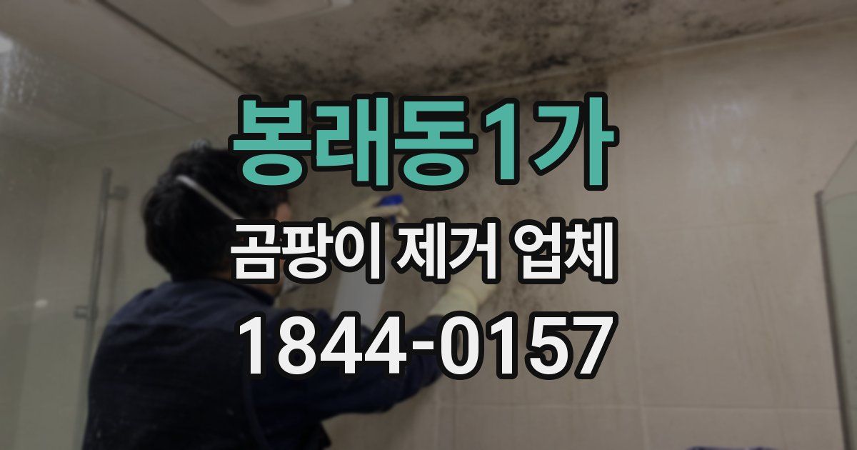 봉래동1가 곰팡이 제거 업체