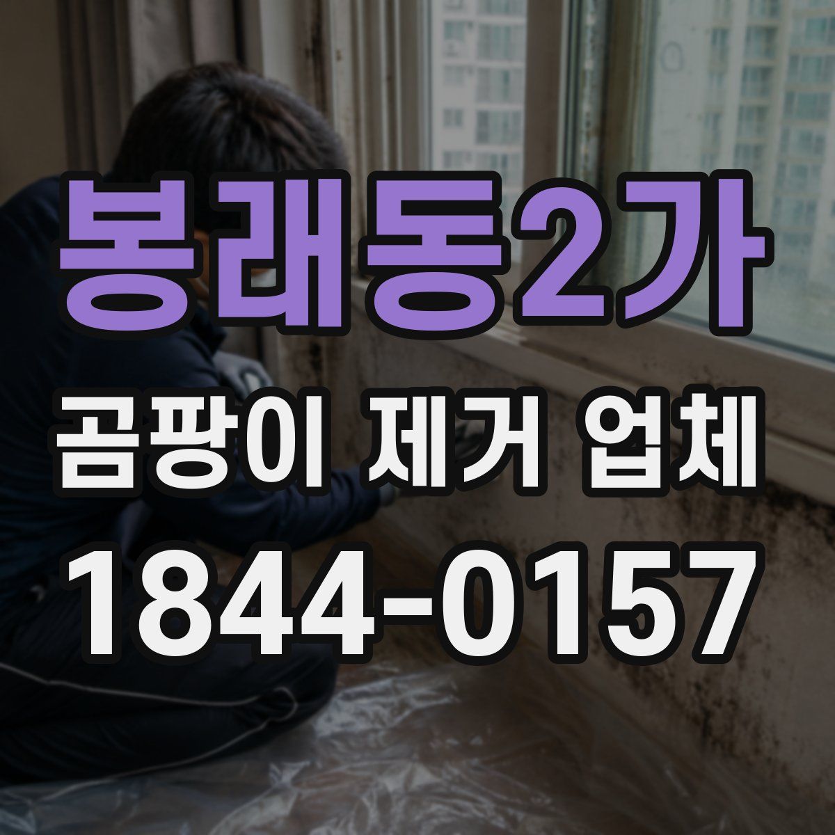 봉래동2가 곰팡이 제거 업체