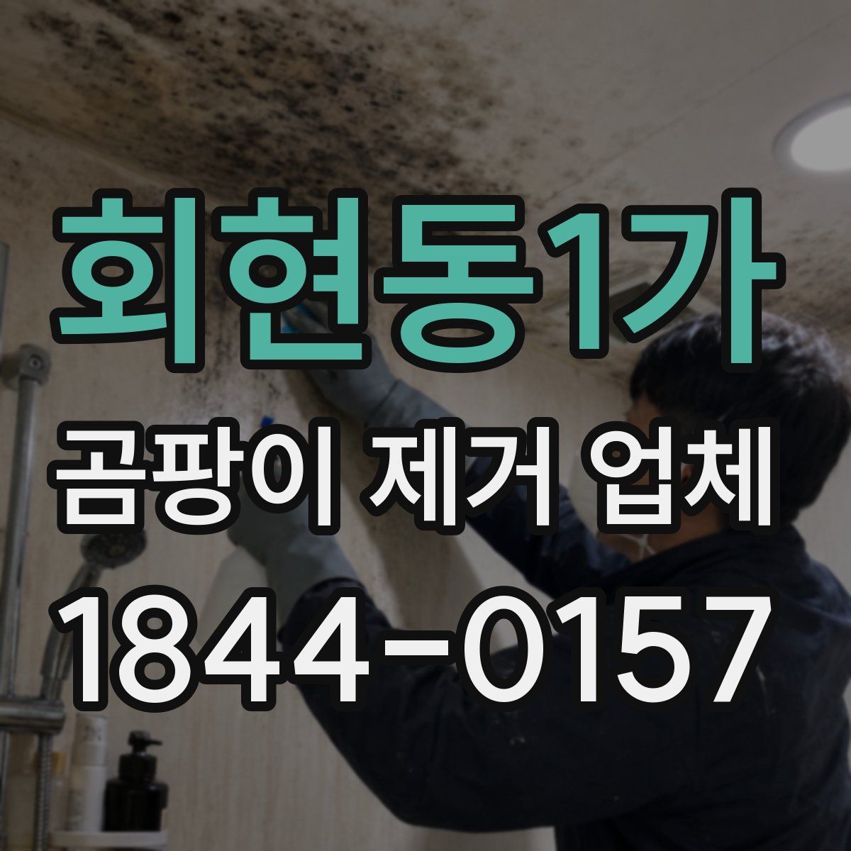 회현동1가 곰팡이 제거 업체