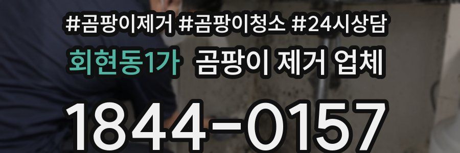 회현동1가 곰팡이 제거 업체