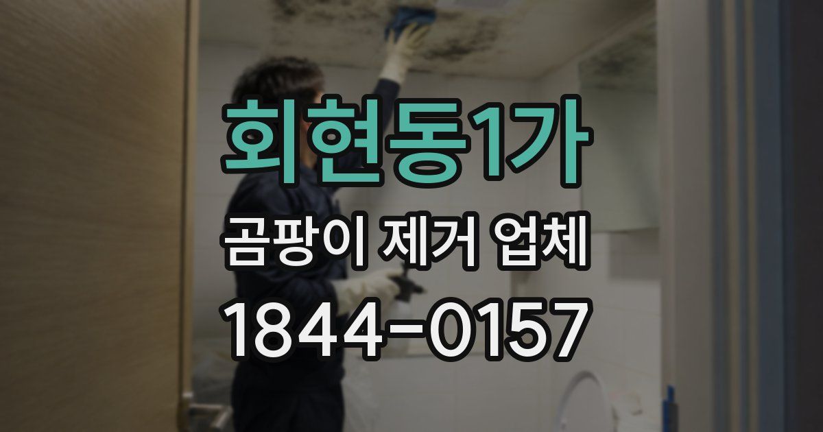 회현동1가 곰팡이 제거 업체