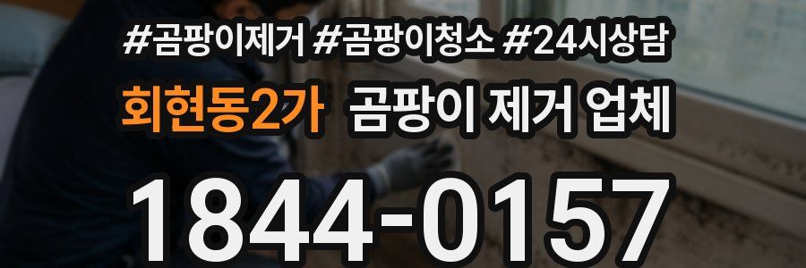 회현동2가 곰팡이 제거 업체
