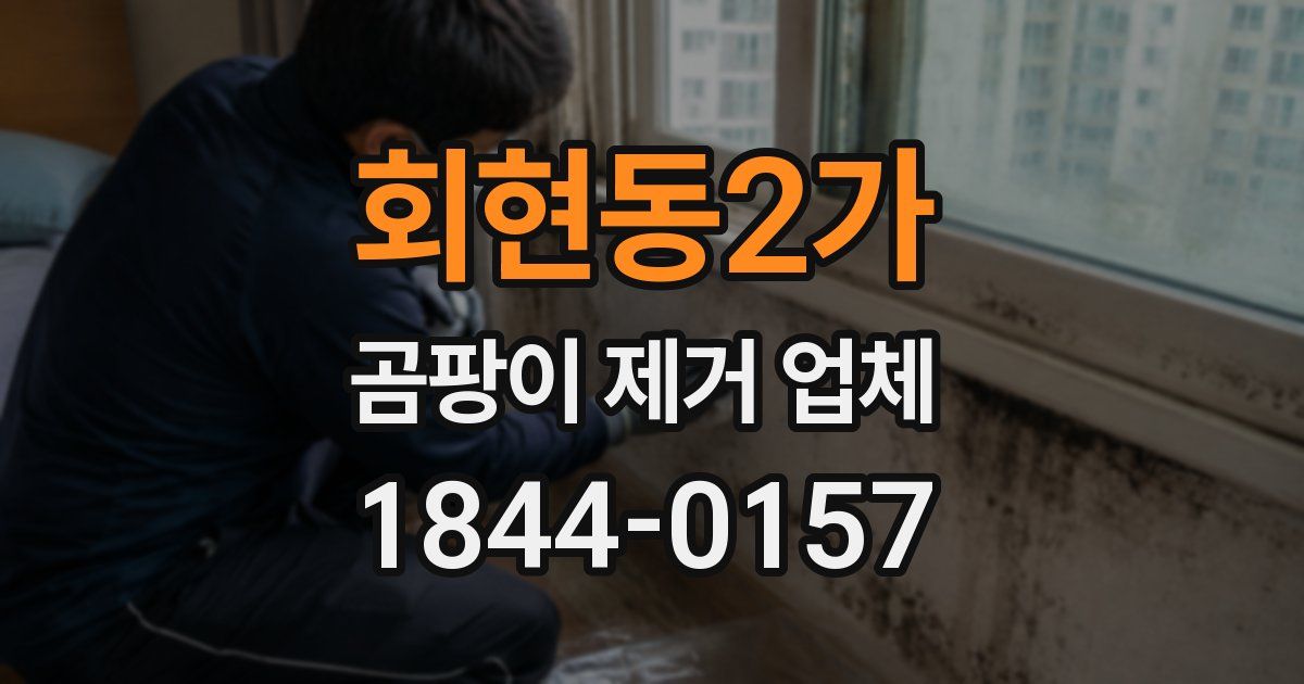 회현동2가 곰팡이 제거 업체
