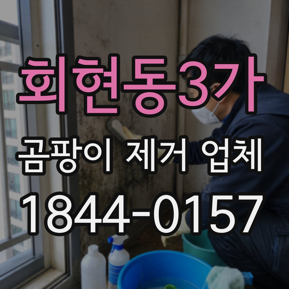 회현동3가 곰팡이 제거 업체